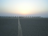 Greece 2008