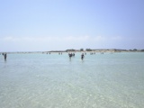 Greece 2008