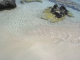 Greece 2008