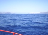 Greece 2008