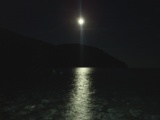 Greece 2008