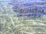 Greece 2008
