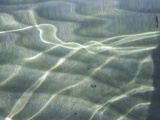 Greece 2008