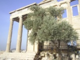 Greece 2008