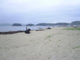 Primorie 2005