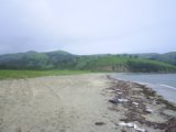 Primorie 2005