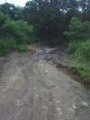 Primorie 2005