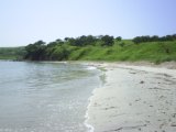 Primorie 2005