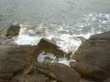 Primorie 2005