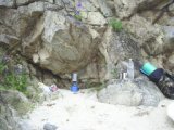 Primorie 2005