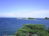 Primorie 2005