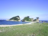 Primorie 2005