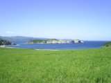 Primorie 2005