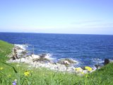 Primorie 2005