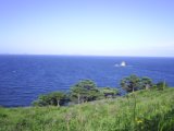 Primorie 2005