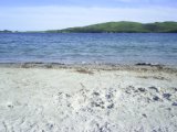 Primorie 2005