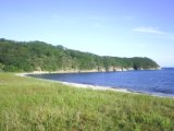 Primorie 2005