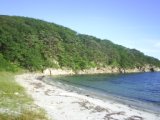 Primorie 2005