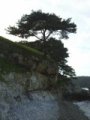 Primorie 2005