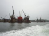 Primorie 2005