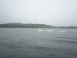 Primorie 2005