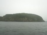 Primorie 2005