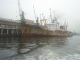 Primorie 2005