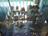 Primorie 2005