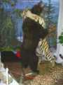Primorie 2005