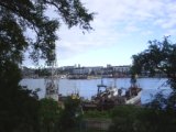 Primorie 2005