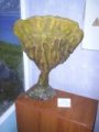 Primorie 2005