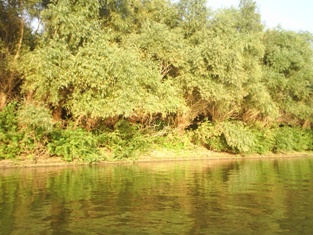 Берега Харабалыка, в среднем, к стоянке не располагают